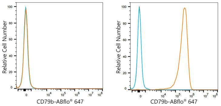 ABflo® 647 Rabbit anti-Human CD79b/Igβ mAb