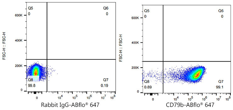 ABflo® 647 Rabbit anti-Human CD79b/Igβ mAb