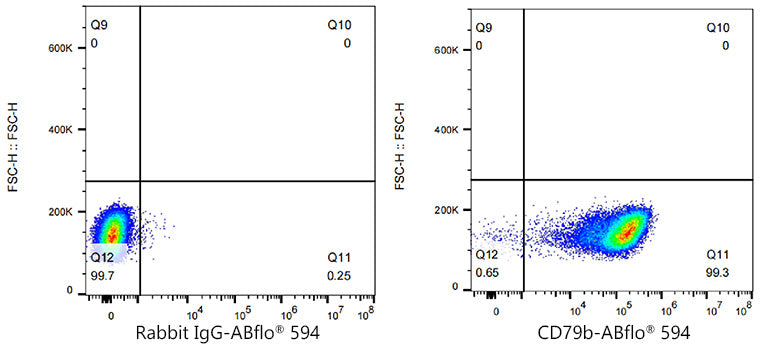 ABflo® 594 Rabbit anti-Human CD79b/Igβ mAb