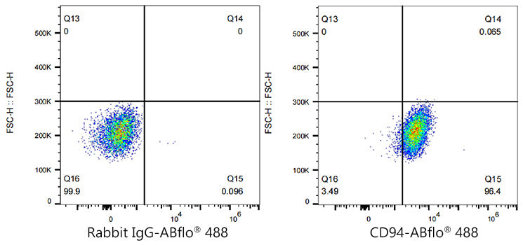 ABflo® 488 Rabbit anti-Human CD94 mAb