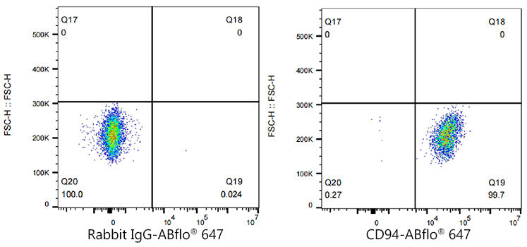 ABflo® 647 Rabbit anti-Human CD94 mAb