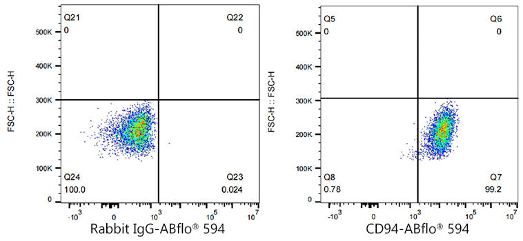 ABflo® 594 Rabbit anti-Human CD94 mAb