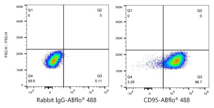 ABflo® 488 Rabbit anti-Mouse CD95/FAS mAb