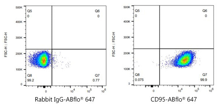 ABflo® 647 Rabbit anti-Mouse CD95/FAS mAb