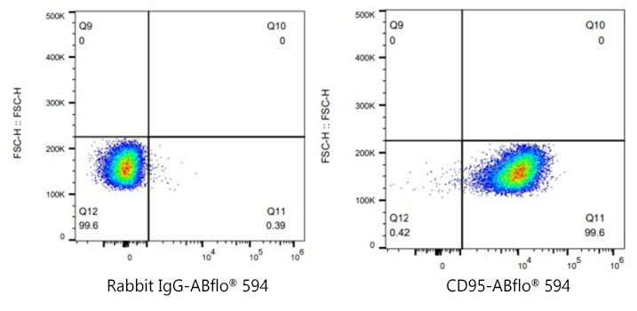 ABflo® 594 Rabbit anti-Mouse CD95/FAS mAb