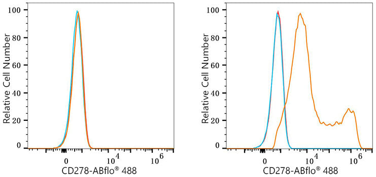 ABflo® 488 Rabbit anti-Mouse ICOS/CD278 mAb