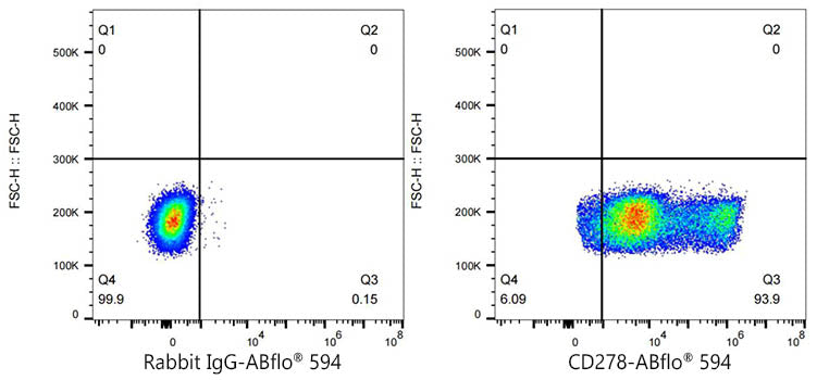 ABflo® 594 Rabbit anti-Mouse ICOS/CD278 mAb