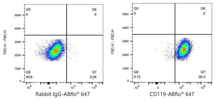 ABflo® 647 Rabbit anti-Human CD119/IFNGR1 mAb