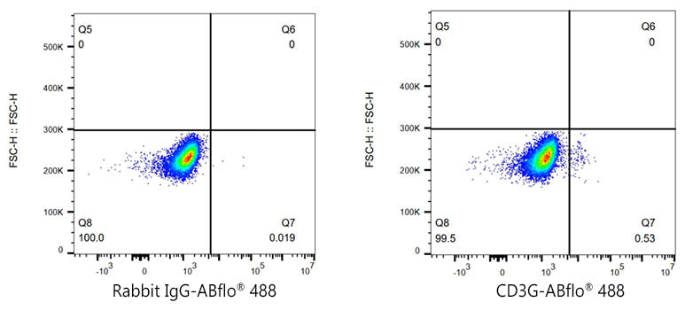 ABflo® 488 Rabbit anti-Pig CD3G mAb
