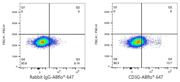 ABflo® 647 Rabbit anti-Pig CD3G mAb