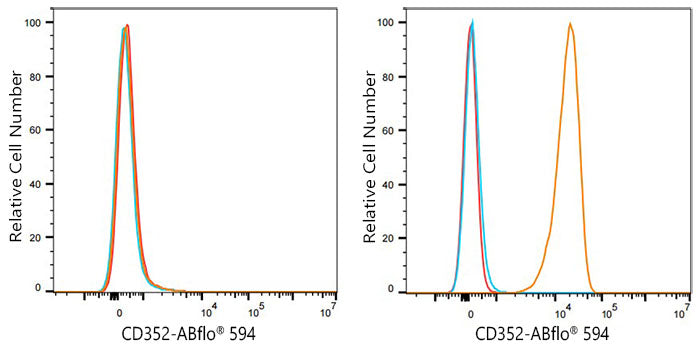 ABflo® 594 Rabbit IgG isotype control