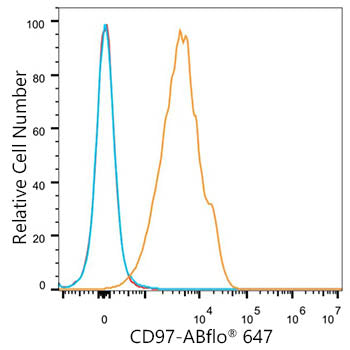 ABflo® 647 Rabbit anti-Mouse CD97 mAb