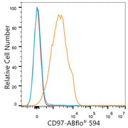 ABflo® 594 Rabbit anti-Mouse CD97 mAb