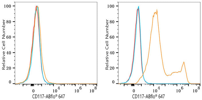 CD117/c-Kit Rabbit mAb