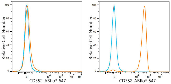 CD352/SLAMF6 Rabbit mAb