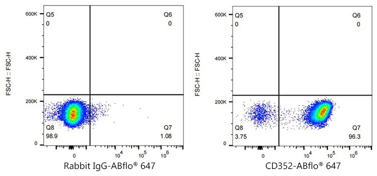 CD352/SLAMF6 Rabbit mAb