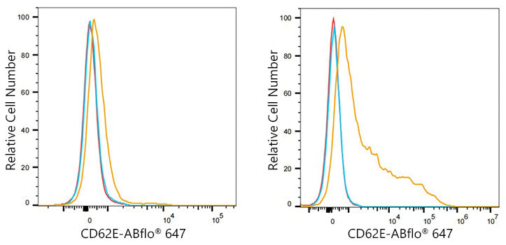 CD62E/E-Selectin Rabbit mAb