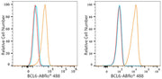 ABflo® 488 Rabbit anti-Human BCL6 mAb