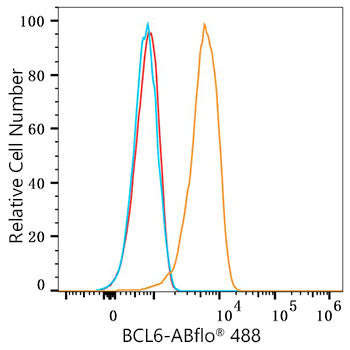 ABflo® 488 Rabbit anti-Human BCL6 mAb