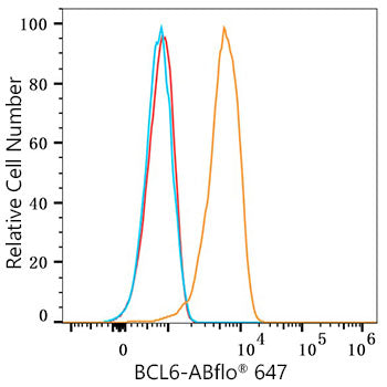 ABflo® 647 Rabbit anti-Human BCL6 mAb