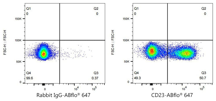 ABflo® 647 Rabbit anti-Mouse CD23 mAb