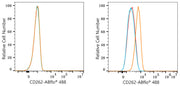 ABflo® 488 Rabbit anti-Human CD262/DR5/TRAILR2 mAb