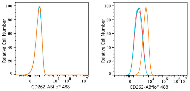 ABflo® 488 Rabbit anti-Human CD262/DR5/TRAILR2 mAb