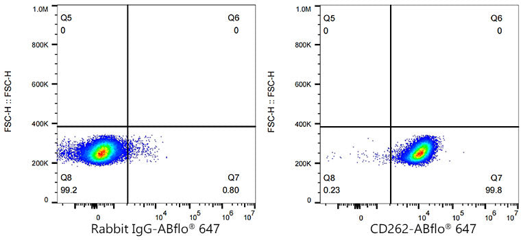 ABflo® 647 Rabbit anti-Human CD262/DR5/TRAILR2 mAb
