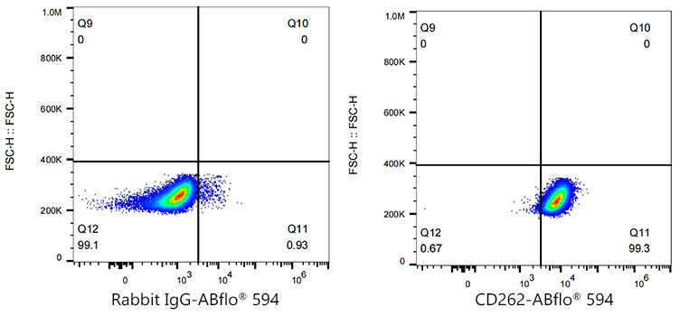 ABflo® 594 Rabbit anti-Human CD262/DR5/TRAILR2 mAb