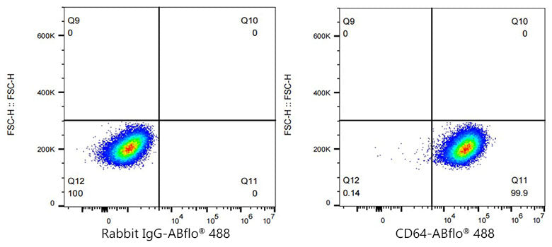 ABflo® 488 Rabbit anti-Mouse FcγRI/CD64 mAb