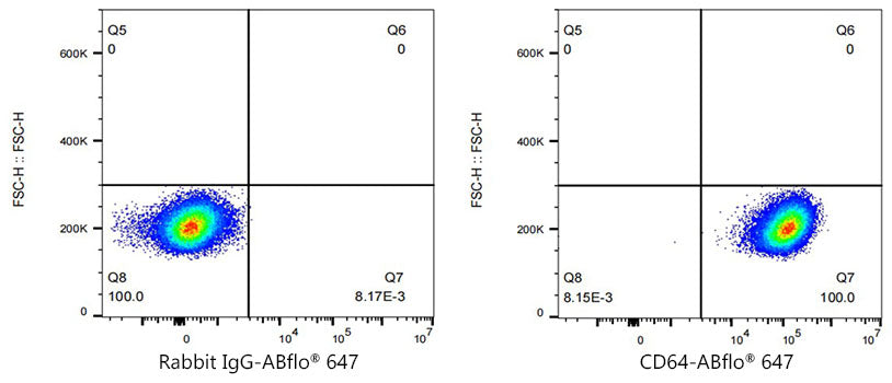 ABflo® 647 Rabbit anti-Mouse FcγRI/CD64 mAb