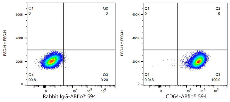 ABflo® 594 Rabbit anti-Mouse FcγRI/CD64 mAb