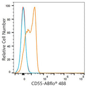 ABflo® 488 Rabbit anti-Mouse/Human CD55 mAb