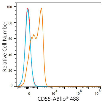 ABflo® 488 Rabbit anti-Mouse/Human CD55 mAb