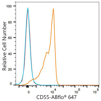 ABflo® 647 Rabbit anti-Mouse/Human CD55 mAb