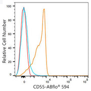 ABflo® 594 Rabbit anti-Mouse/Human CD55 mAb
