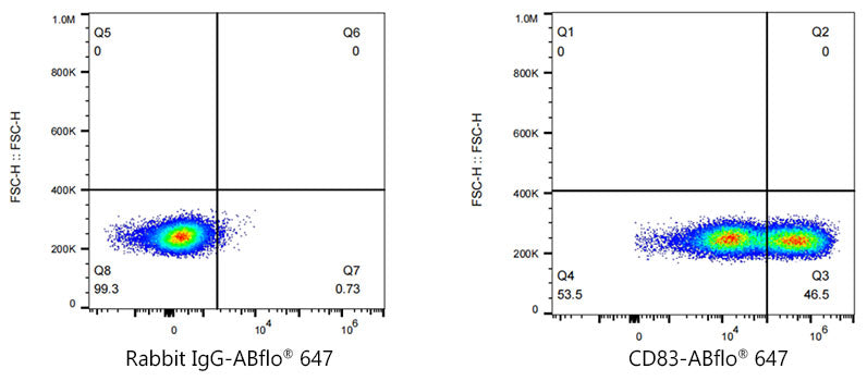 ABflo® 647 Rabbit anti-Mouse CD83 mAb