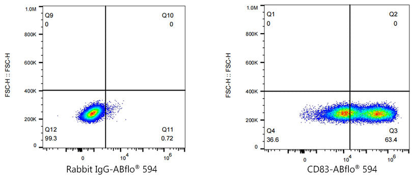 ABflo® 594 Rabbit anti-Mouse CD83 mAb