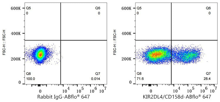 KIR2DL4 Rabbit mAb