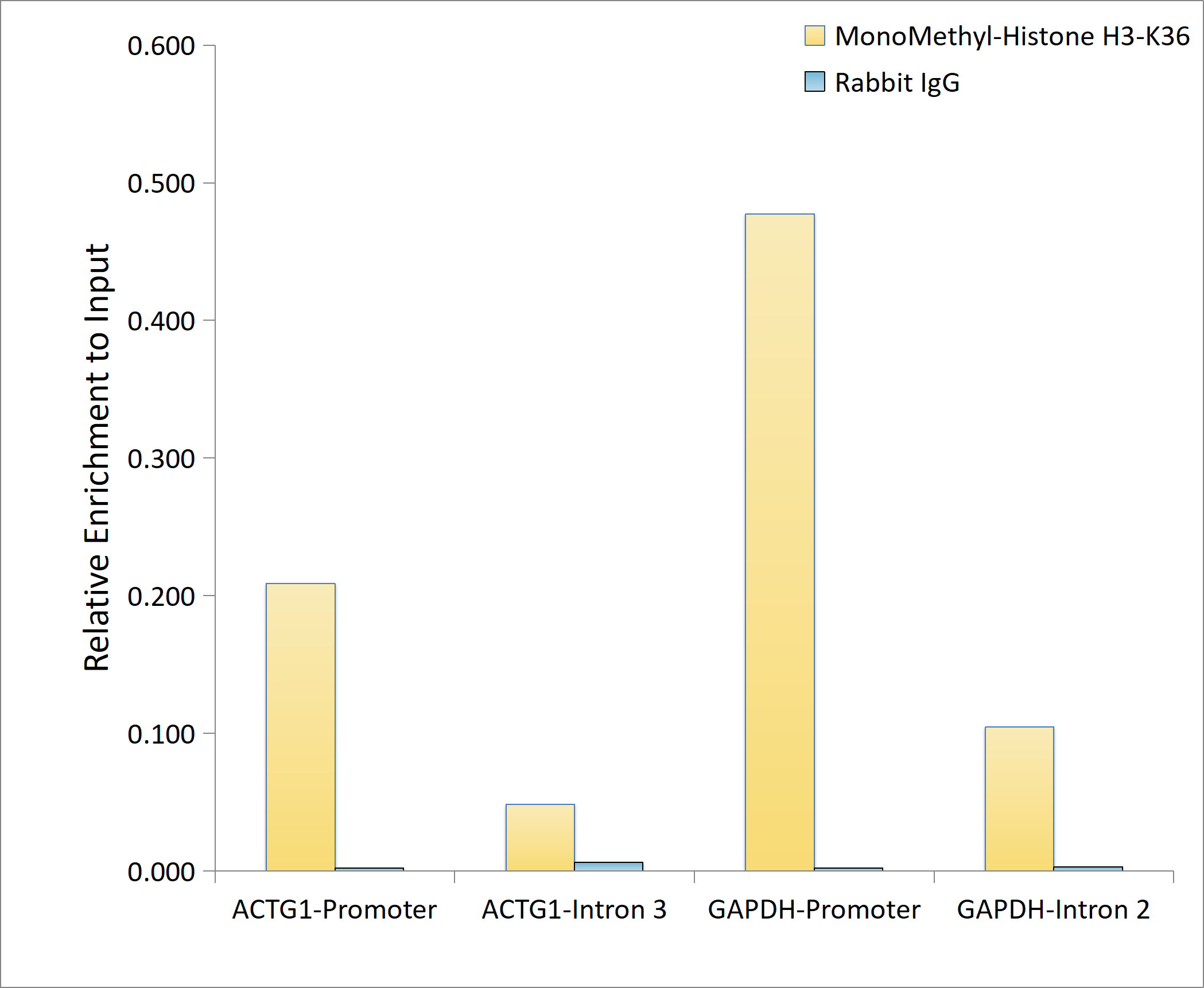 MonoMethyl-Histone H3-K36 Rabbit mAb