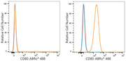 ABflo® 488 Rabbit anti-Mouse CD80 mAb