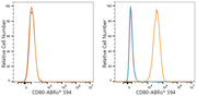 ABflo® 594 Rabbit anti-Mouse CD80 mAb