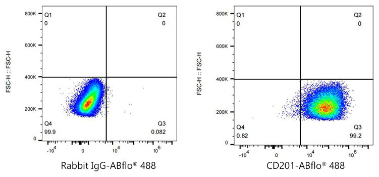 ABflo® 488 Rabbit anti-Mouse CD201/EPCR mAb