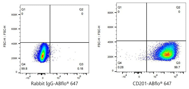 ABflo® 647 Rabbit anti-Mouse CD201/EPCR mAb