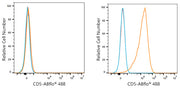ABflo® 488 Rabbit anti-Mouse CD5 mAb