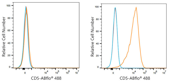 ABflo® 488 Rabbit anti-Mouse CD5 mAb