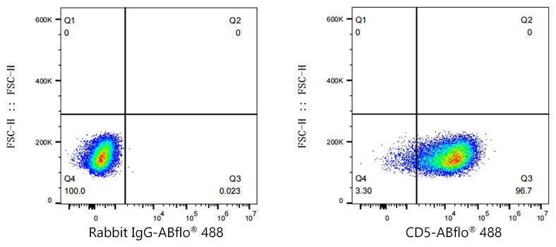 ABflo® 488 Rabbit anti-Mouse CD5 mAb
