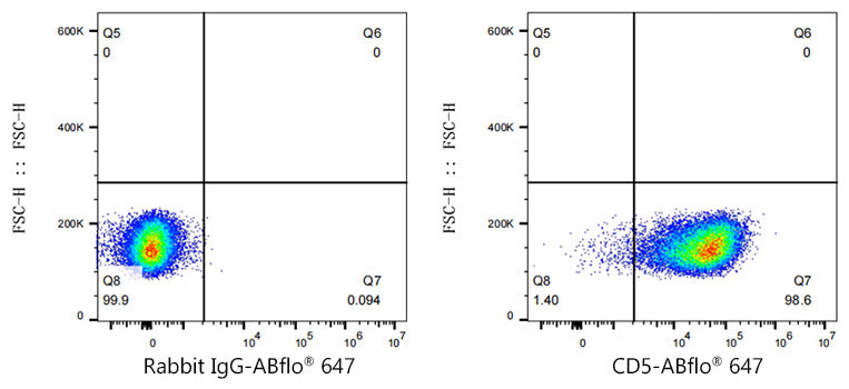 ABflo® 647 Rabbit anti-Mouse CD5 mAb