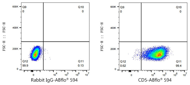 ABflo® 594 Rabbit anti-Mouse CD5 mAb