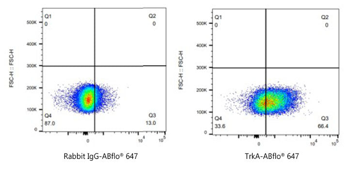 ABflo® 647 Rabbit anti-Human TrkA mAb